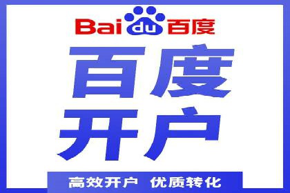 百度竞价排名实战：某电商平台的成功之路
